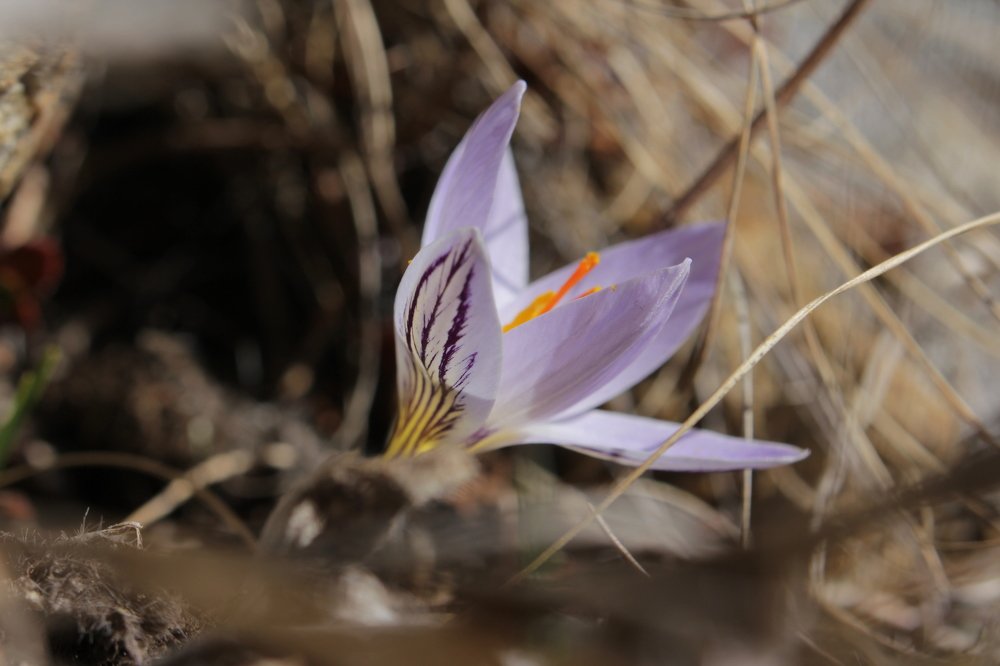 Photograph by Оксана Божко