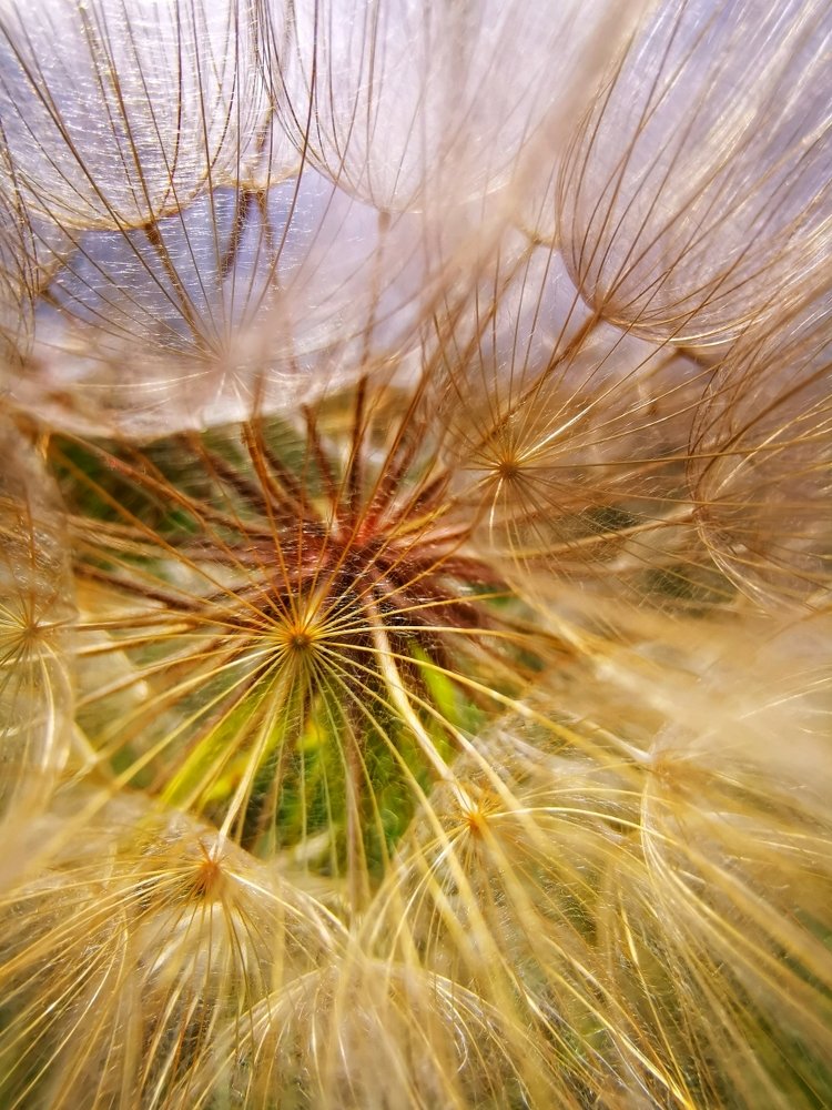 Photograph by Оксана Божко