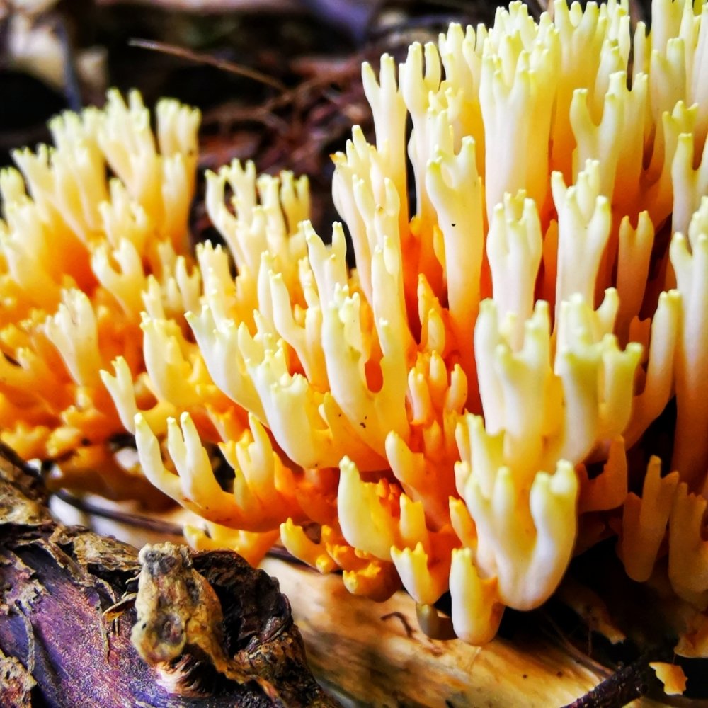 Photograph by Оксана Божко