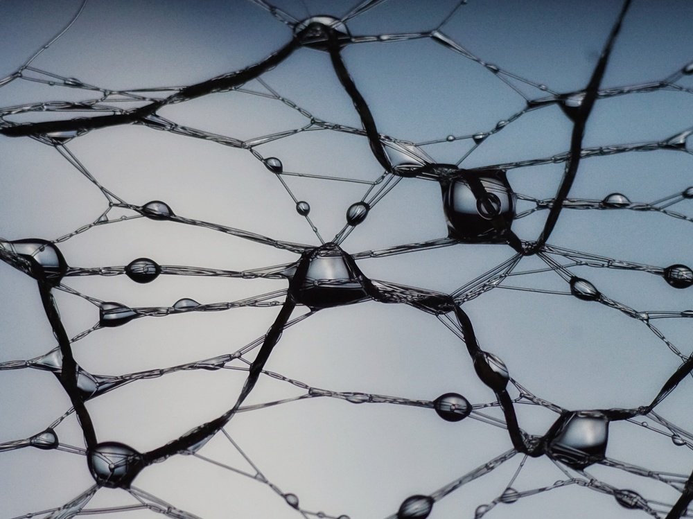 Photograph by Алеся Писнова