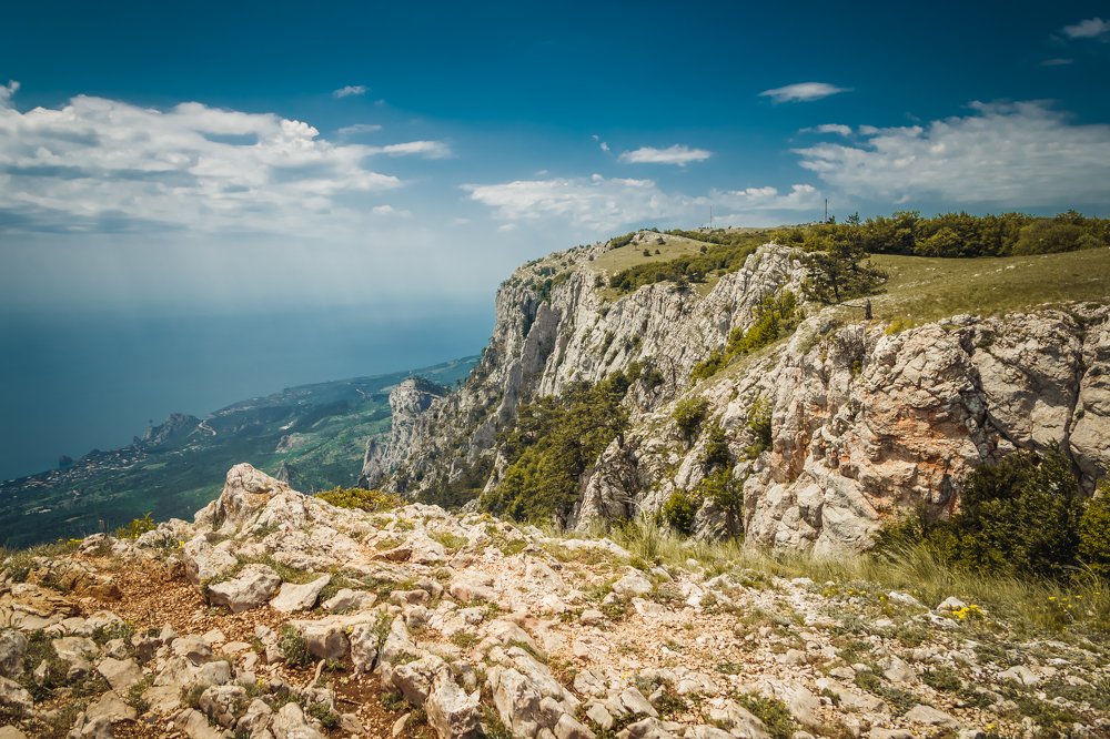 Фотография автора Мария Авласенко