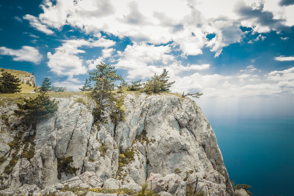 Фотография автора Мария Авласенко