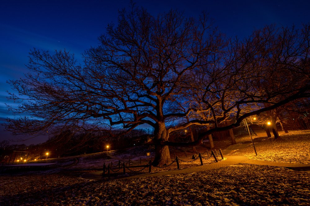 Photograph by Алексей Вяткин