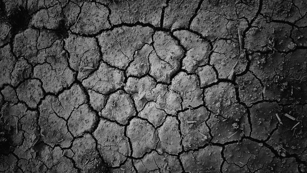 Photograph by Хачик Аджатян