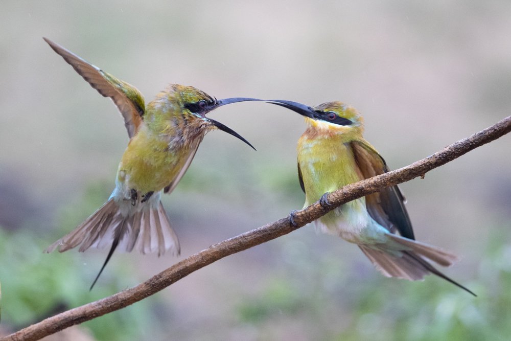 Photograph by Senadheera Danushka