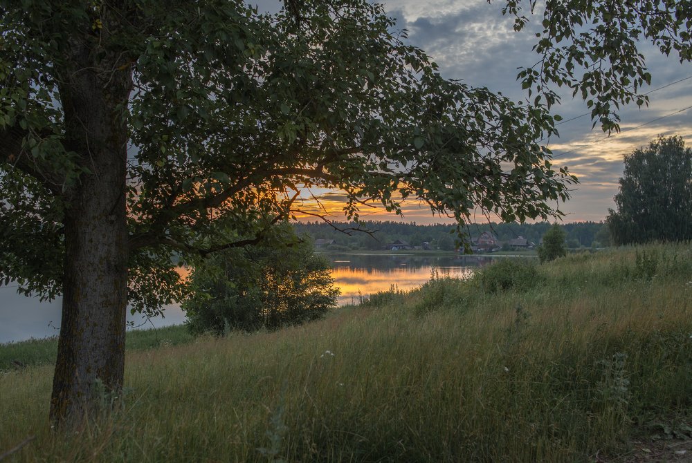 Photograph by Мария Сычёва