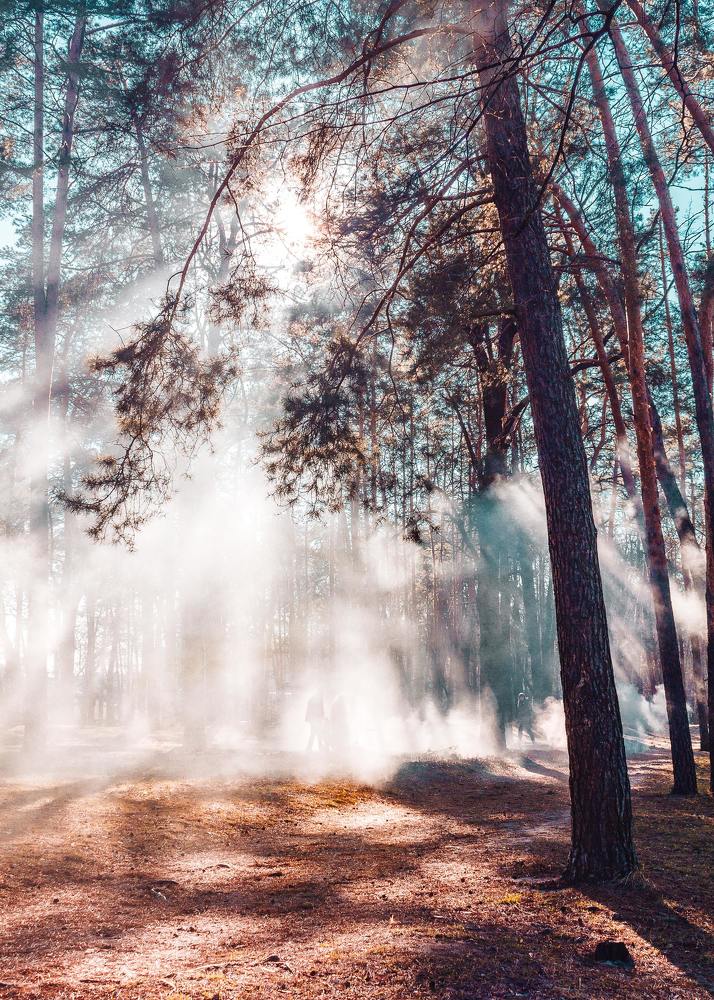 Photograph by Aditya Kumar Sahoo