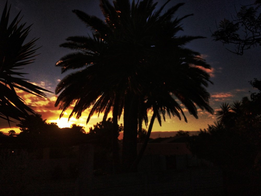 Photograph by Cheyenne Kruger