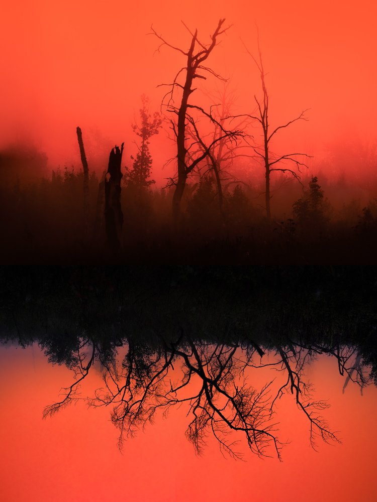 Земля в огне