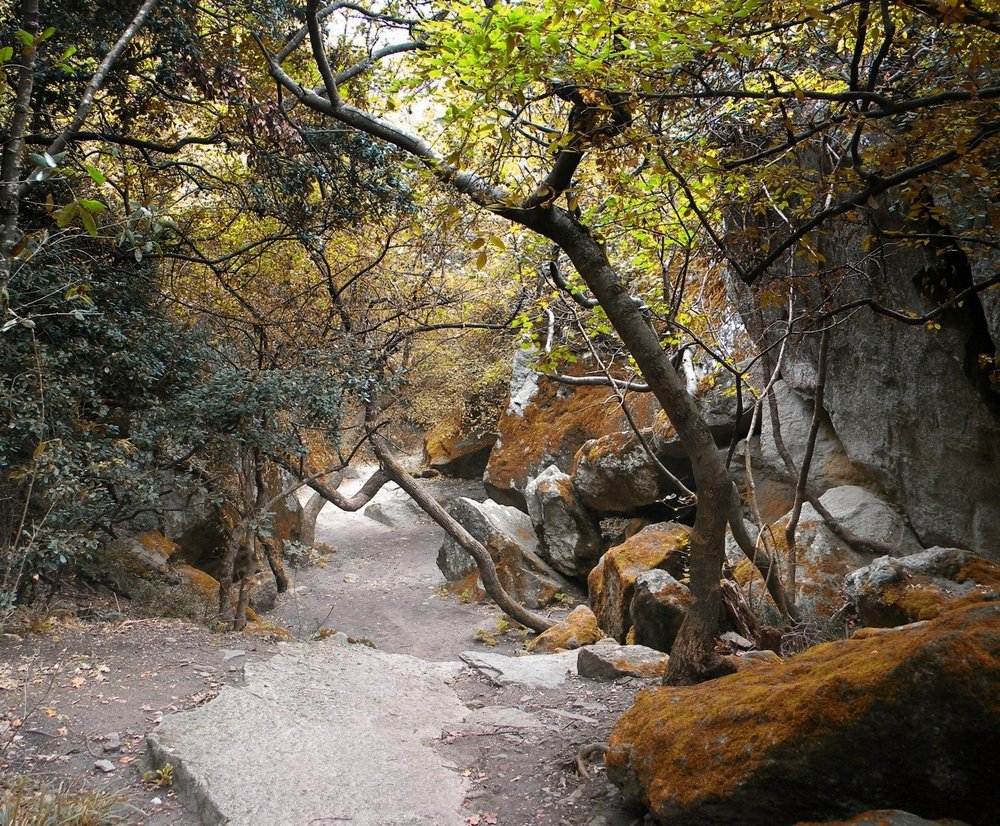 Photograph by Роман Савоцкий