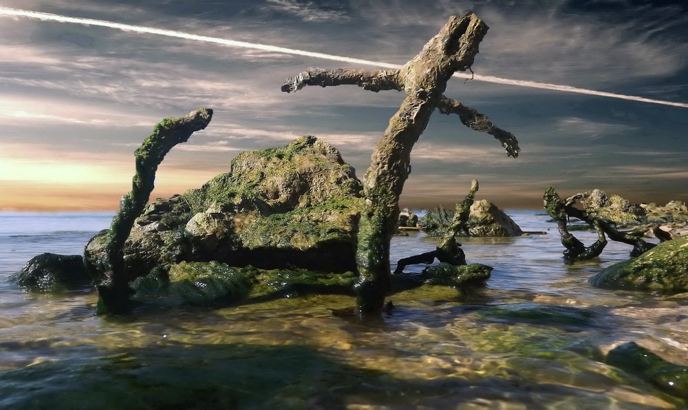 Photograph by Сергей Кошелев