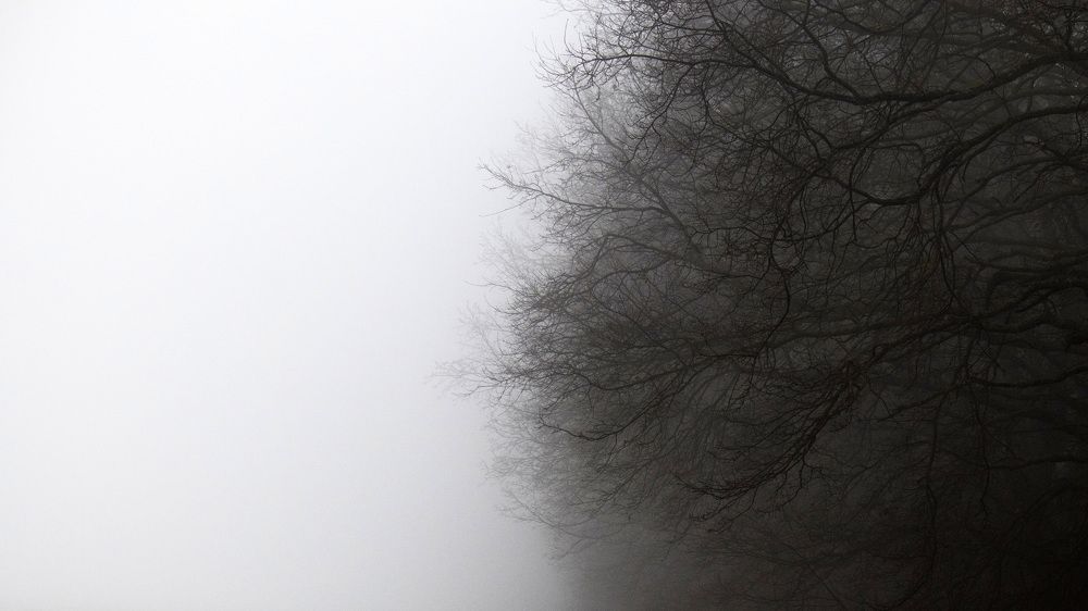 Photograph by Александр Клюйко