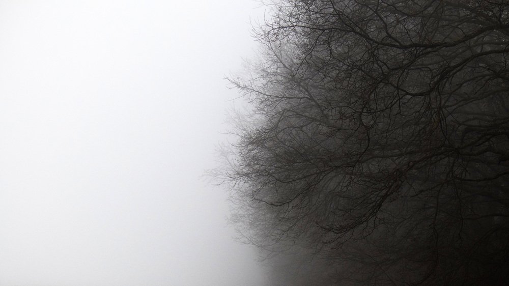 Photograph by Александр Клюйко