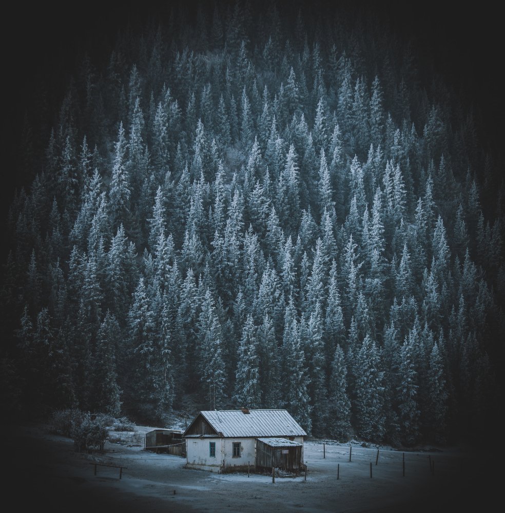 Photograph by Влад Домбровский