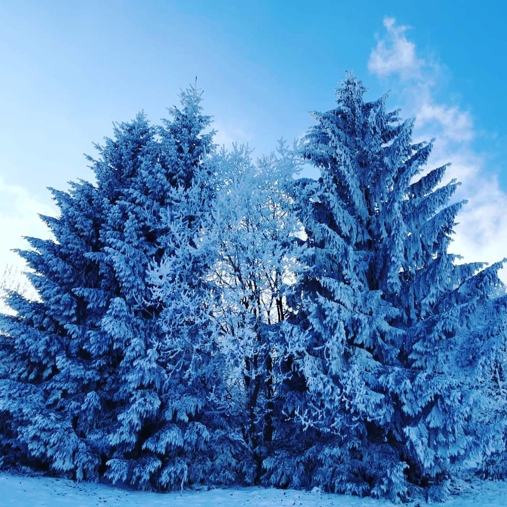 The sky is the limit