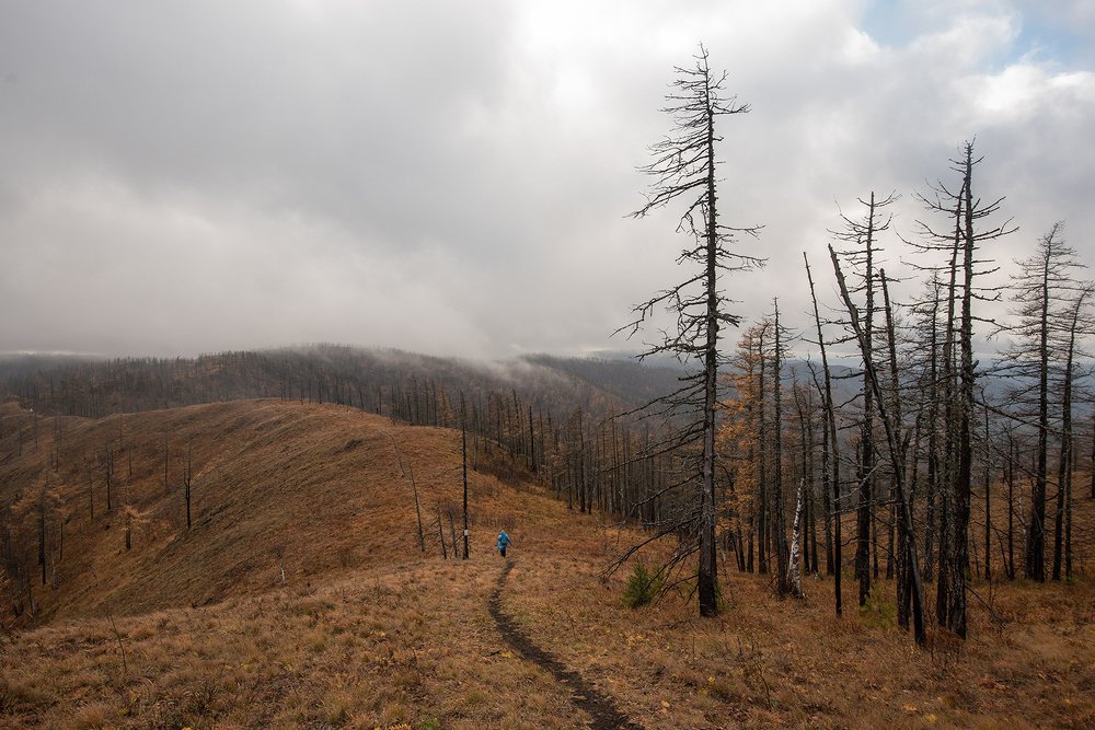 Фотография автора Сергей Сынтин