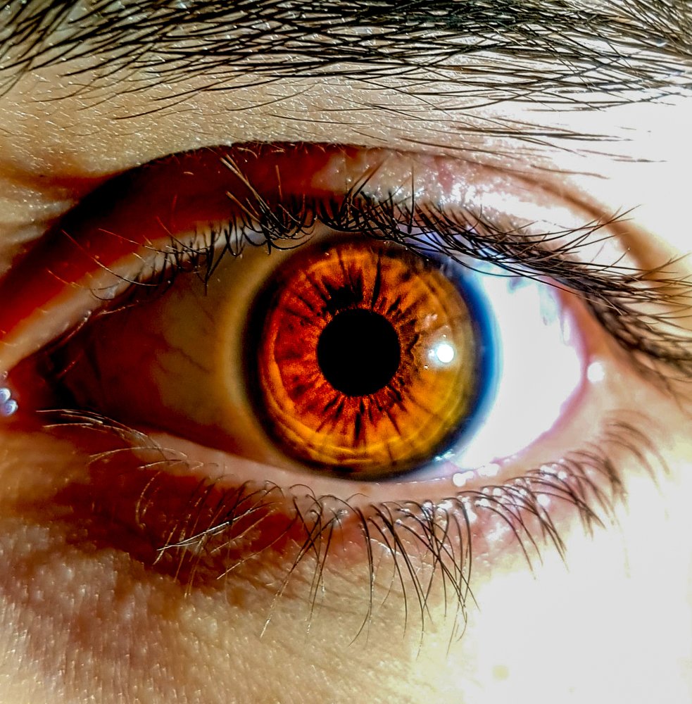 Фотография автора Nima Nezafat Yazdi