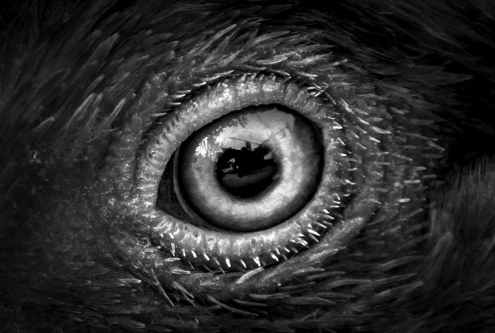 Фотография автора Solaiman Hossen