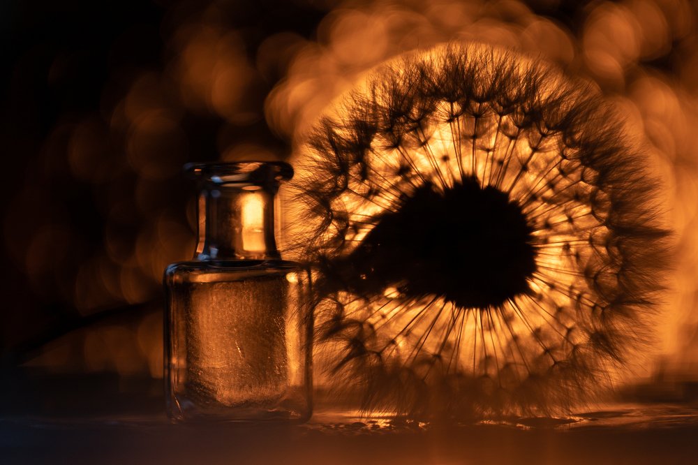 Photograph by Сергей Романченко