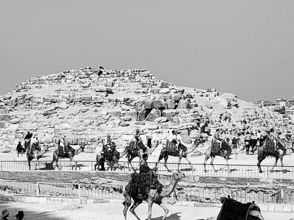 Photograph by Наталья Медведева