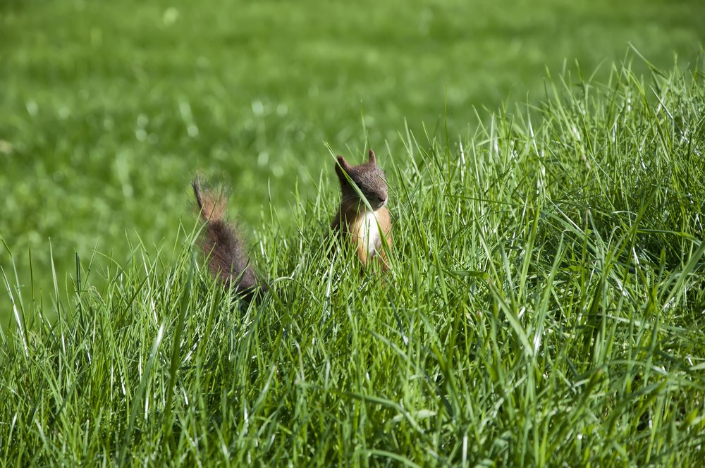 Photograph by Александр Хорхордин