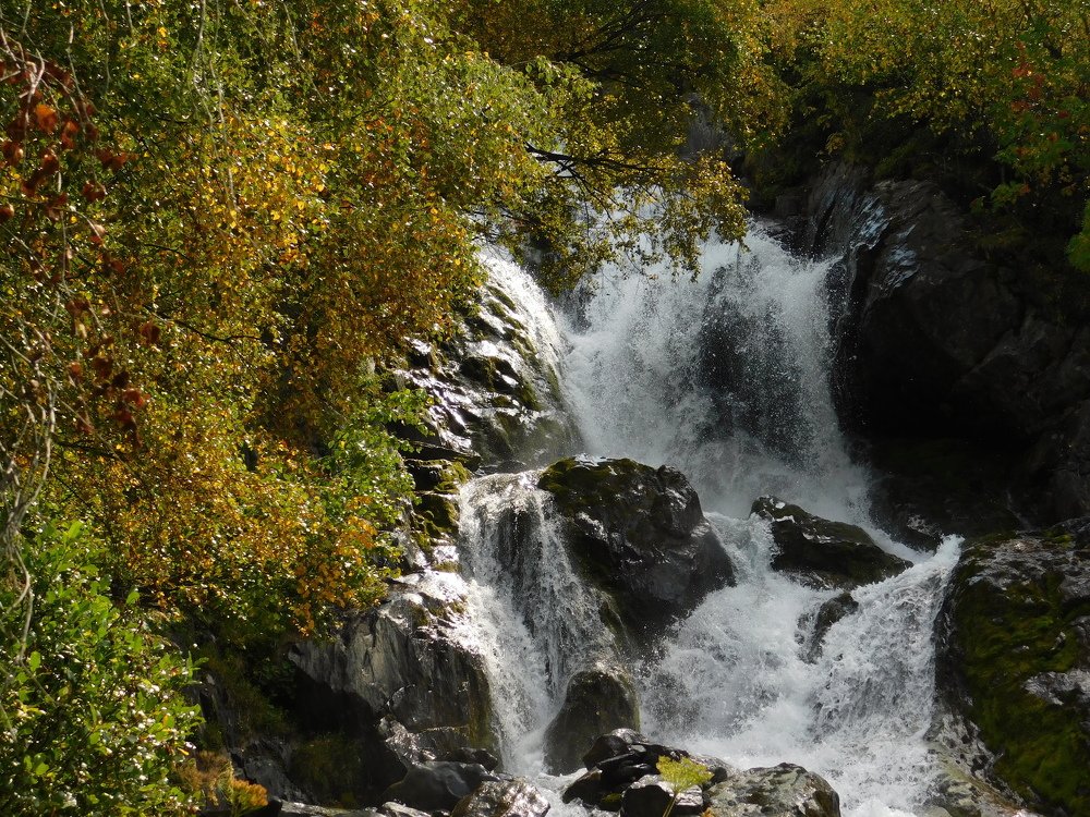 Photograph by Чкареули Светлана