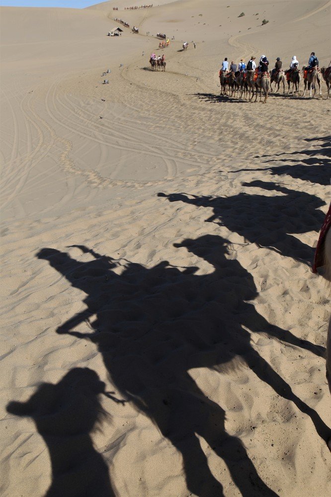 Sombras de las jorobas