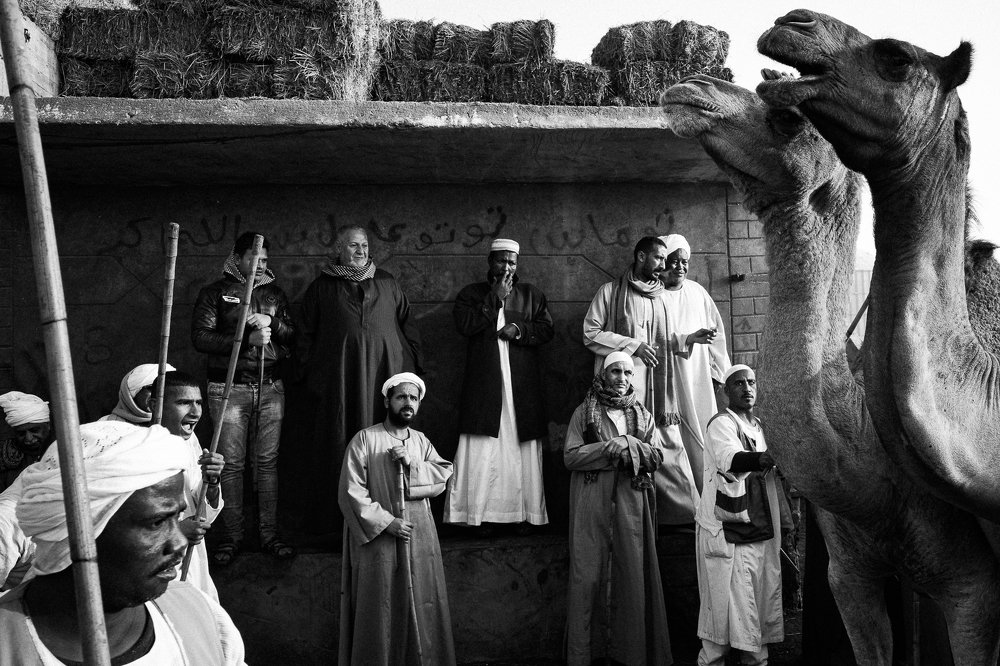 Photograph by Gil Kreslavsky