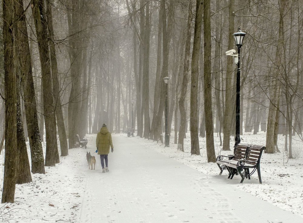Photograph by Валерий Анисимов