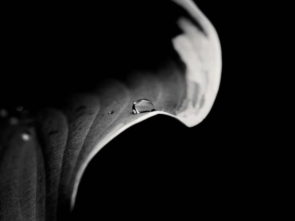 Photo #5455146