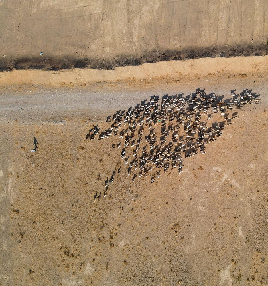 Photograph by Rino Suren