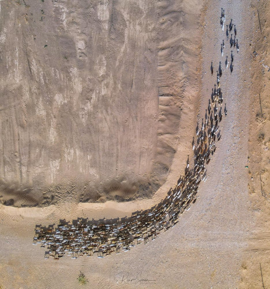 Photograph by Rino Suren