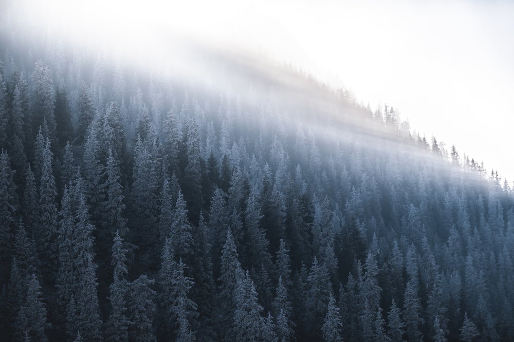 Photograph by Влад Домбровский