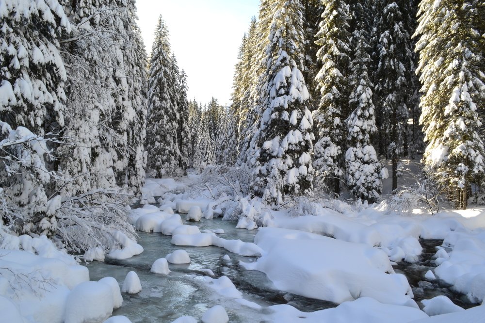 Winter in the Carpathians