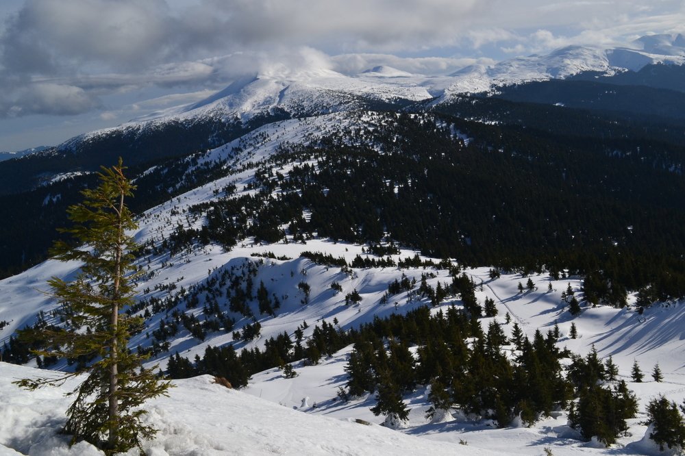 Carpathians. Goverla.