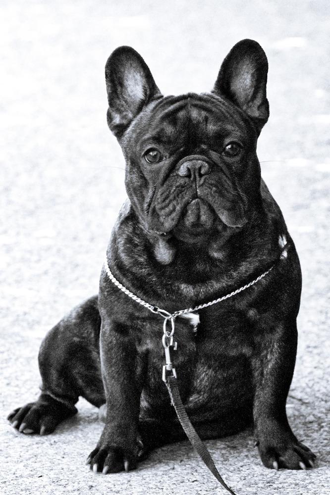 Photograph by Claudio Bonaccorsi