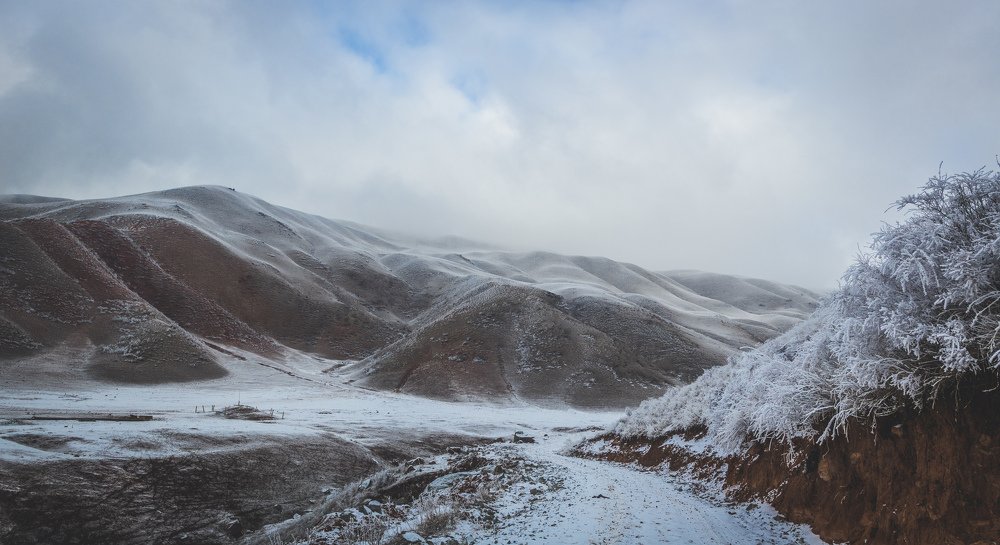 Photograph by Влад Домбровский