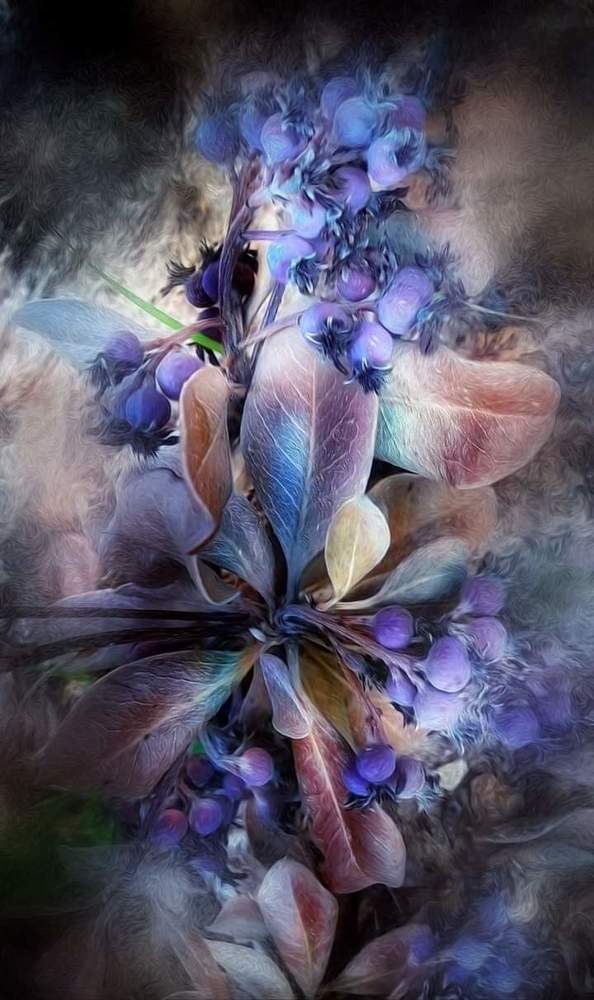 Photograph by Polina Svirida