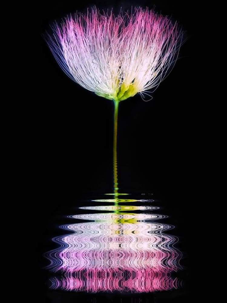 Photograph by Polina Svirida