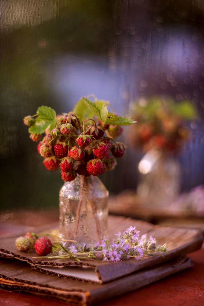 Photograph by Елена Вапняр