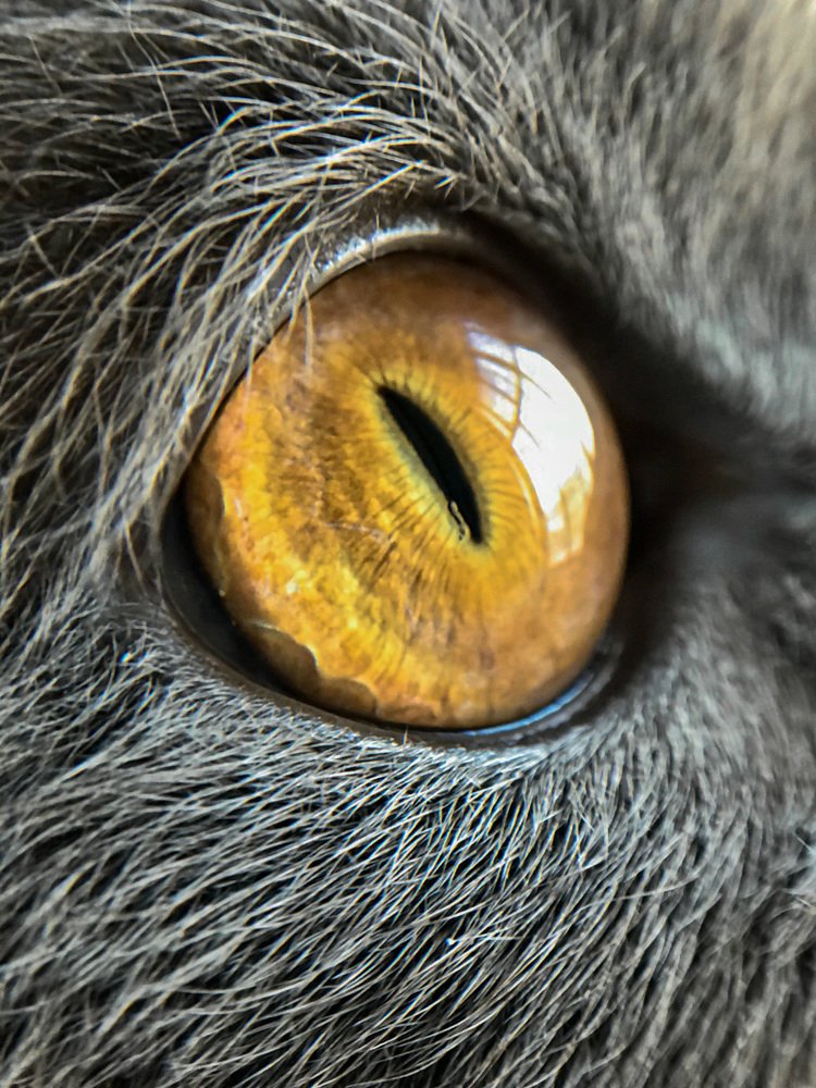 Photograph by Наталья Перерва