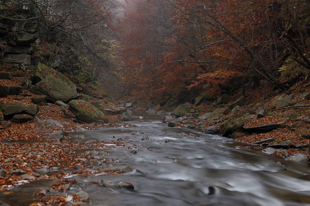 Rzeka w Bieszczadach