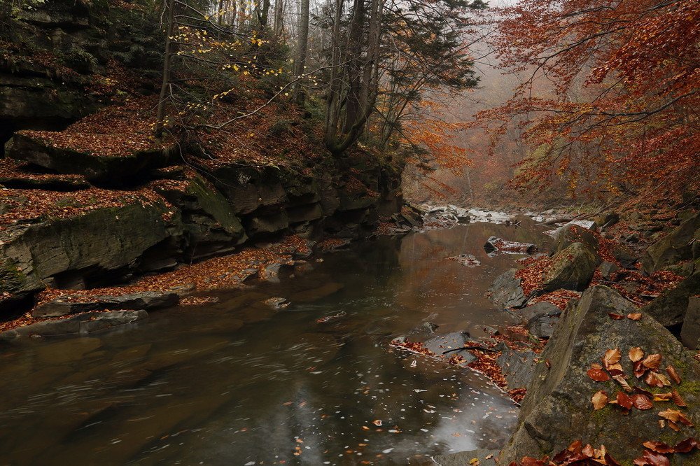 River in the Bieszczady Mountains