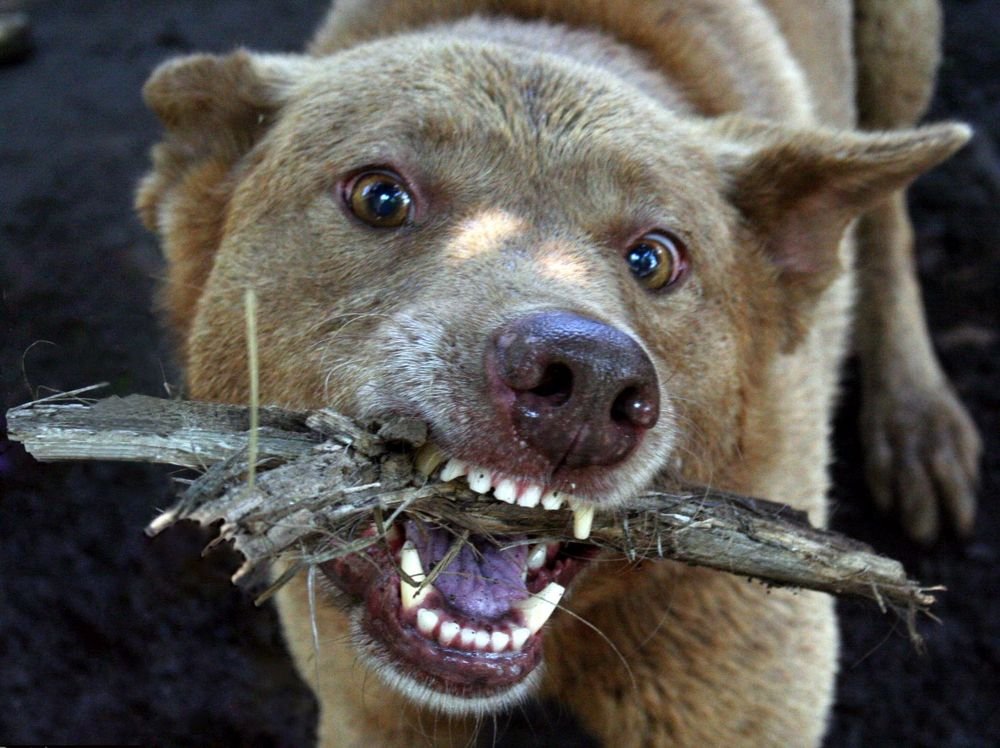 Photograph by Claudio Bonaccorsi