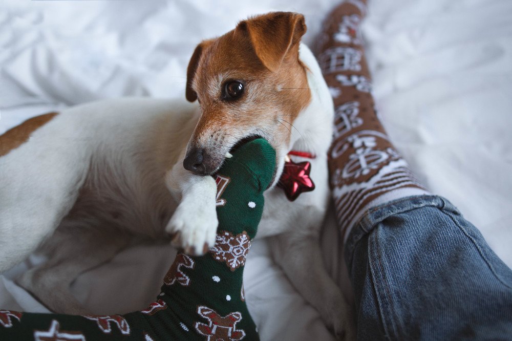 Photograph by Dorota Horváthová