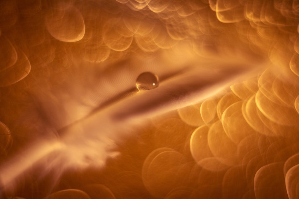 Photograph by Laura García