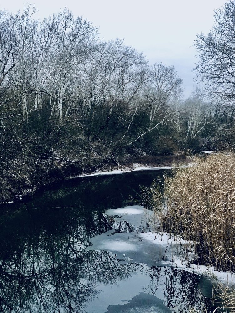 Photograph by Светлана Ткаченко