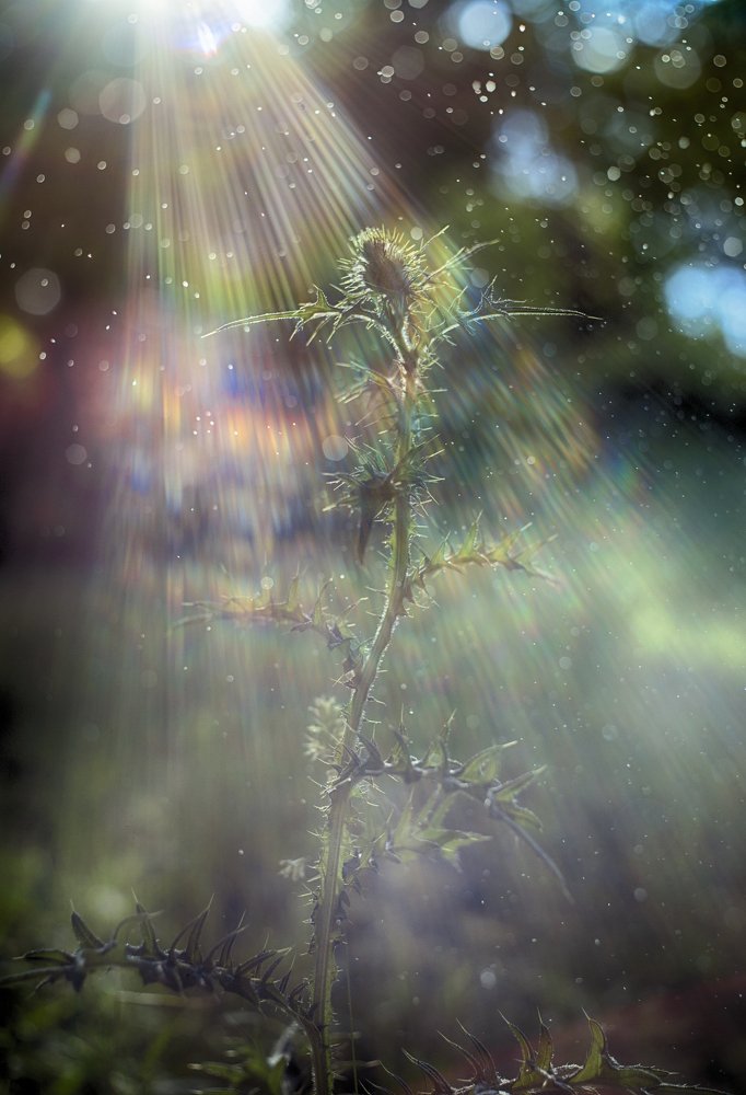 Photograph by Tatiana Kurilas