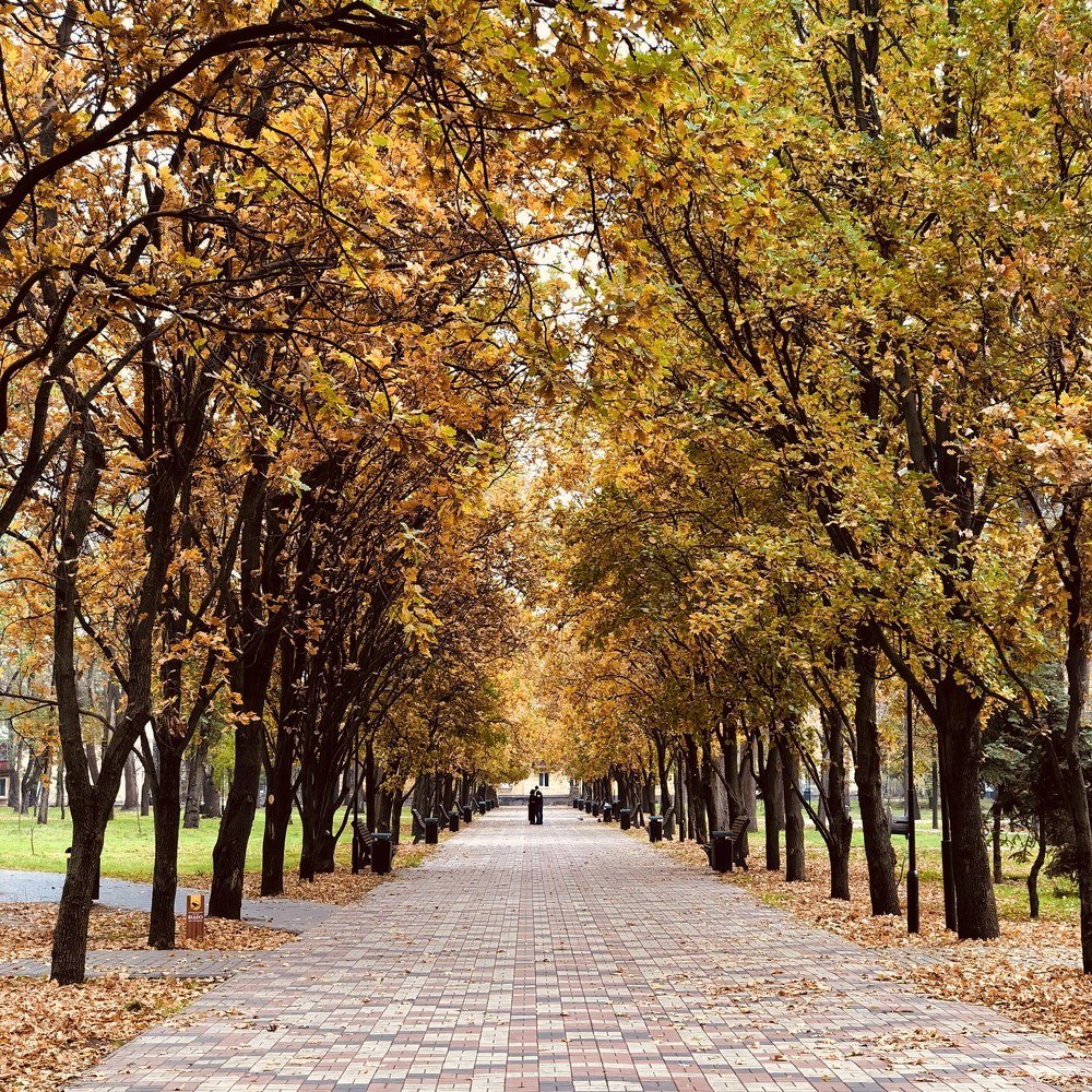 Photograph by Светлана Ткаченко