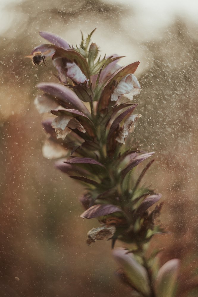 Photograph by Tatiana Kurilas